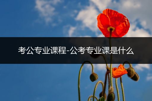 考公专业课程-公考专业课是什么