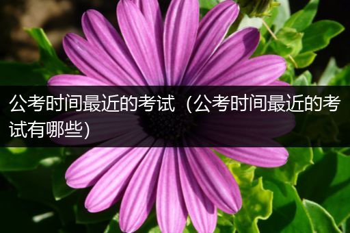 公考时间最近的考试（公考时间最近的考试有哪些）