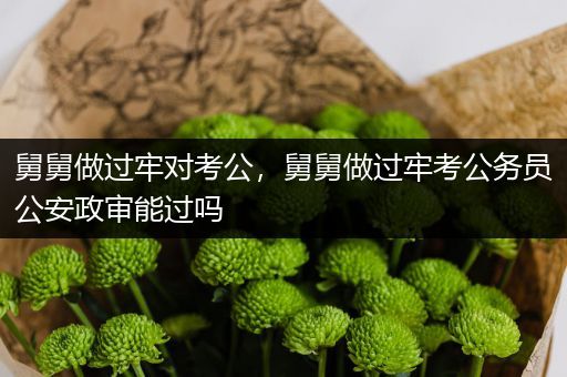 舅舅做过牢对考公，舅舅做过牢考公务员公安政审能过吗