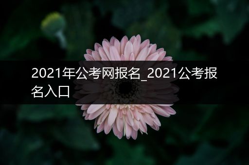 2021年公考网报名_2021公考报名入口