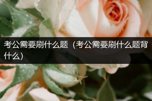 考公需要刷什么题（考公需要刷什么题背什么）