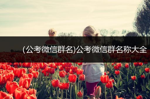 （公考微信群名)公考微信群名称大全