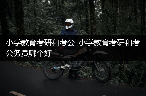 小学教育考研和考公_小学教育考研和考公务员哪个好