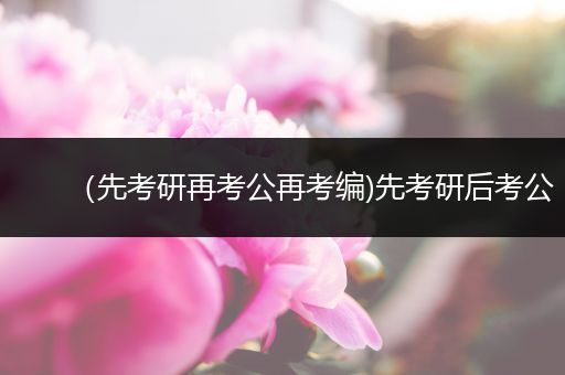 （先考研再考公再考编)先考研后考公