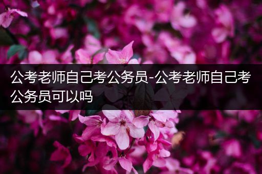 公考老师自己考公务员-公考老师自己考公务员可以吗