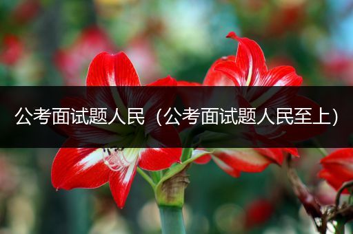 公考面试题人民（公考面试题人民至上）