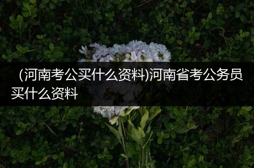 （河南考公买什么资料)河南省考公务员买什么资料