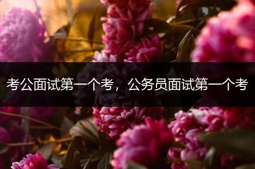 考公面试第一个考，公务员面试第一个考