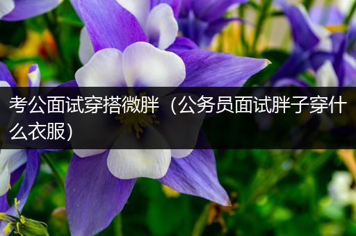 考公面试穿搭微胖（公务员面试胖子穿什么衣服）