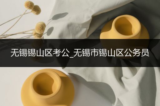 无锡锡山区考公_无锡市锡山区公务员