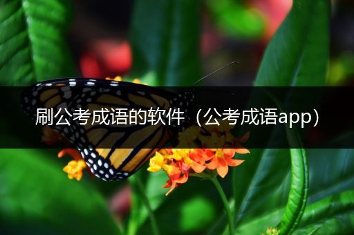 刷公考成语的软件（公考成语app）