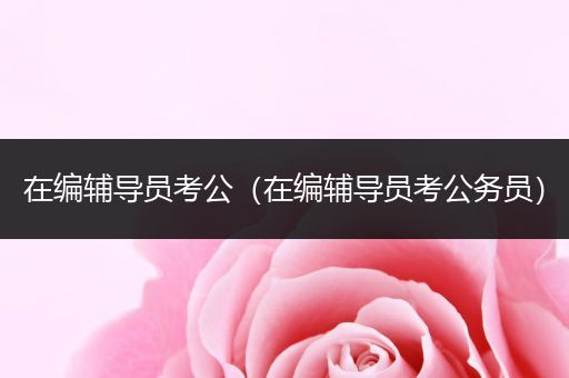 在编辅导员考公（在编辅导员考公务员）