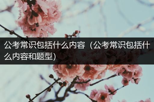 公考常识包括什么内容（公考常识包括什么内容和题型）