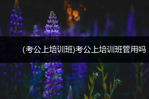 （考公上培训班)考公上培训班管用吗