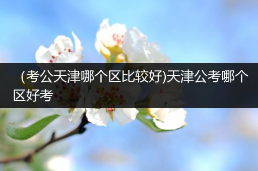 （考公天津哪个区比较好)天津公考哪个区好考