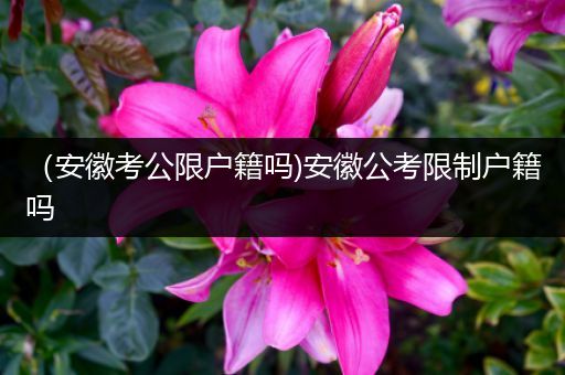 （安徽考公限户籍吗)安徽公考限制户籍吗