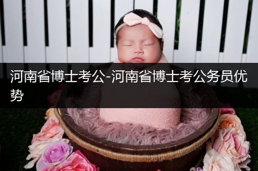 河南省博士考公-河南省博士考公务员优势