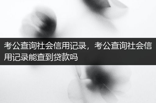 考公查询社会信用记录，考公查询社会信用记录能查到贷款吗