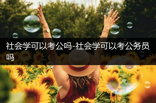 社会学可以考公吗-社会学可以考公务员吗