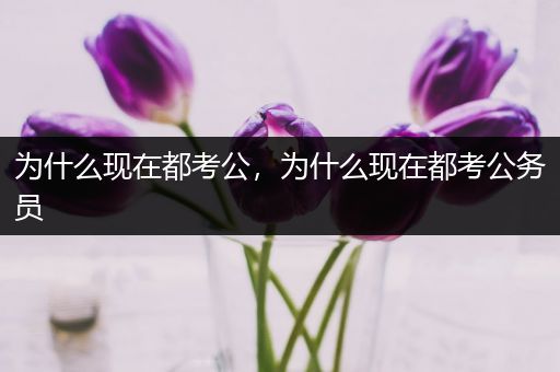 为什么现在都考公，为什么现在都考公务员