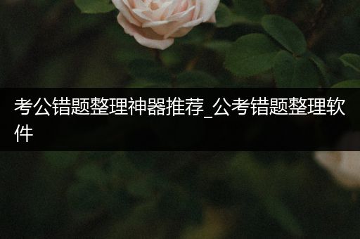 考公错题整理神器推荐_公考错题整理软件