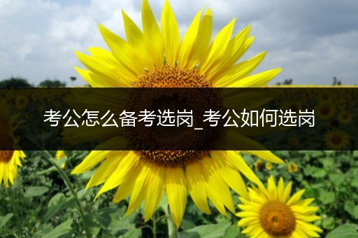 考公怎么备考选岗_考公如何选岗