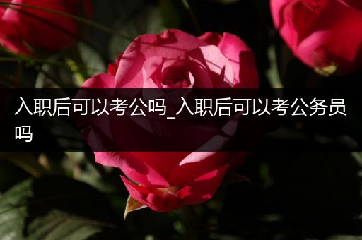 入职后可以考公吗_入职后可以考公务员吗