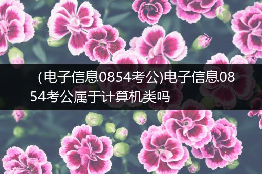 （电子信息0854考公)电子信息0854考公属于计算机类吗