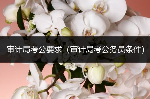 审计局考公要求（审计局考公务员条件）