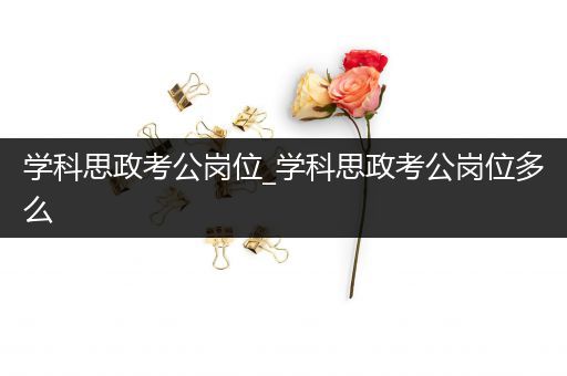 学科思政考公岗位_学科思政考公岗位多么