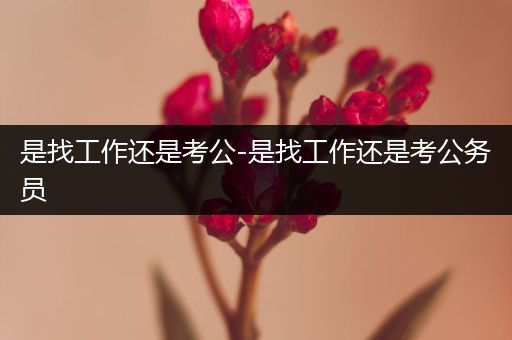 是找工作还是考公-是找工作还是考公务员