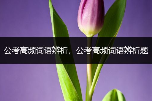 公考高频词语辨析，公考高频词语辨析题