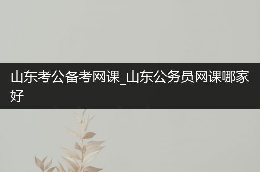 山东考公备考网课_山东公务员网课哪家好