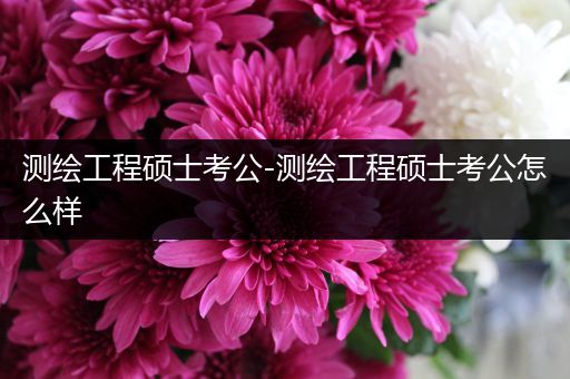 测绘工程硕士考公-测绘工程硕士考公怎么样