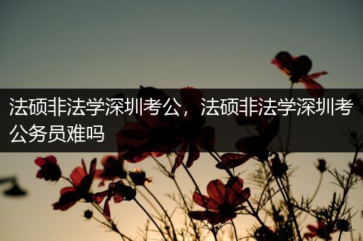 法硕非法学深圳考公，法硕非法学深圳考公务员难吗