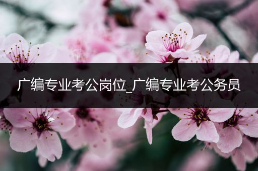 广编专业考公岗位_广编专业考公务员