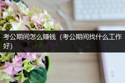 考公期间怎么赚钱（考公期间找什么工作好）