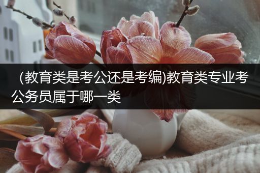 （教育类是考公还是考编)教育类专业考公务员属于哪一类