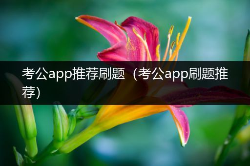 考公app推荐刷题（考公app刷题推荐）