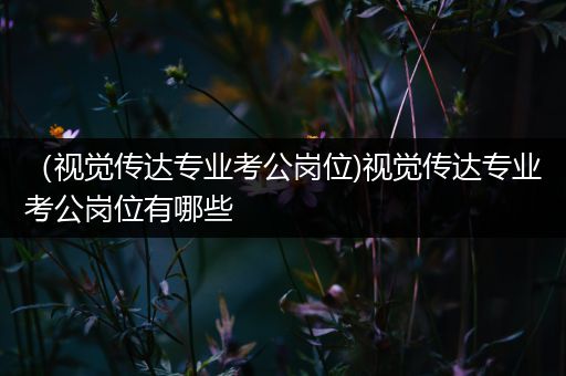 （视觉传达专业考公岗位)视觉传达专业考公岗位有哪些