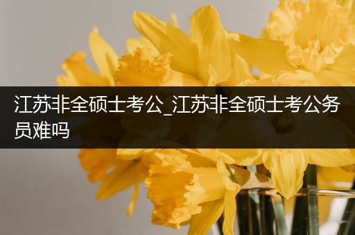 江苏非全硕士考公_江苏非全硕士考公务员难吗