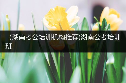 （湖南考公培训机构推荐)湖南公考培训班