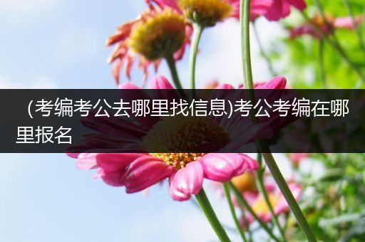 （考编考公去哪里找信息)考公考编在哪里报名