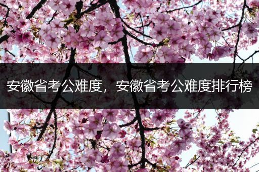 安徽省考公难度，安徽省考公难度排行榜