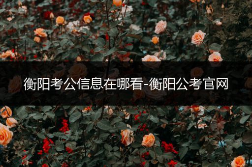 衡阳考公信息在哪看-衡阳公考官网