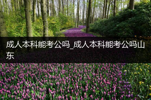 成人本科能考公吗_成人本科能考公吗山东