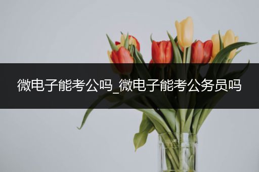 微电子能考公吗_微电子能考公务员吗