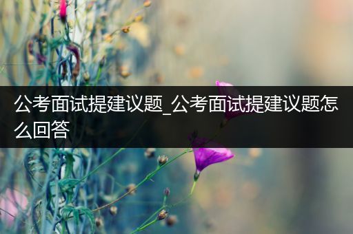 公考面试提建议题_公考面试提建议题怎么回答