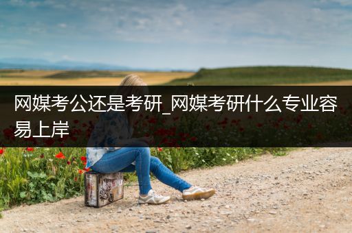 网媒考公还是考研_网媒考研什么专业容易上岸