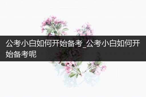 公考小白如何开始备考_公考小白如何开始备考呢